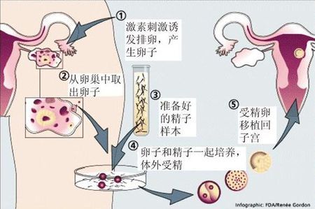 男科专家